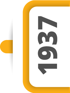1937 Pointer