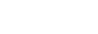 Niterra Logo
